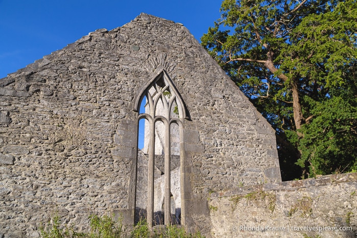 travelyesplease.com | Killarney National Park- Photo Series