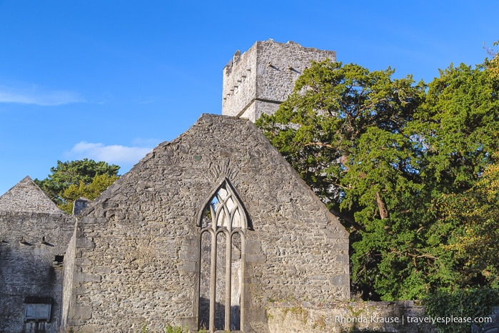 travelyesplease.com | Killarney National Park- Photo Series