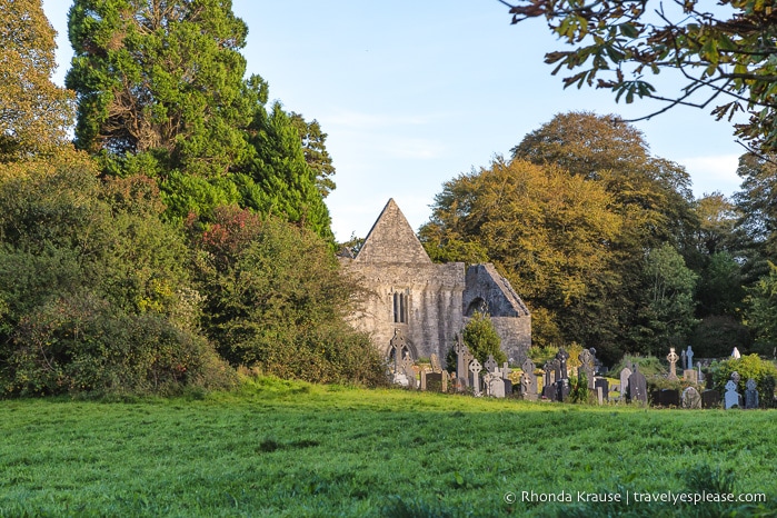 travelyesplease.com | Killarney National Park- Photo Series