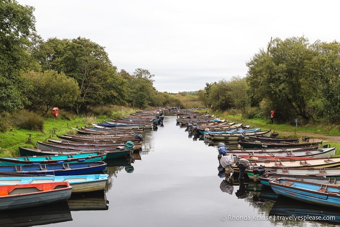 travelyesplease.com | Killarney National Park- Photo Series