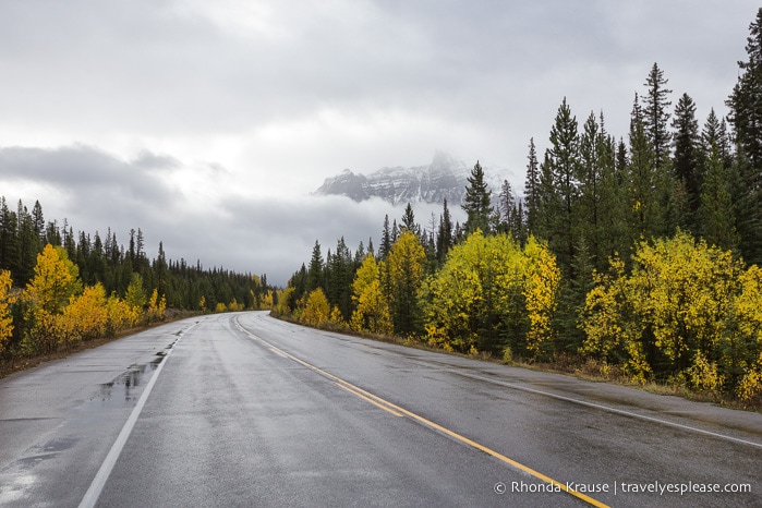 travelyesplease.com | Canadian Rockies Road Trip Itinerary- 8 Days in the Alberta Rocky Mountains