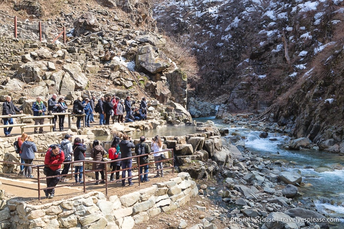 travelyesplease.com | Jigokudani Monkey Park- Trip from Nagano to see Wild Snow Monkeys