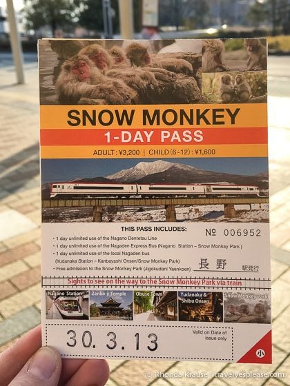 travelyesplease.com | Jigokudani Monkey Park- Trip From Nagano to See Wild Snow Monkeys