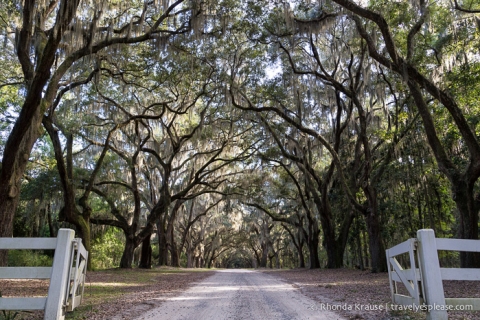 travelyesplease.com | Best Places for Photography in Savannah, Georgia 