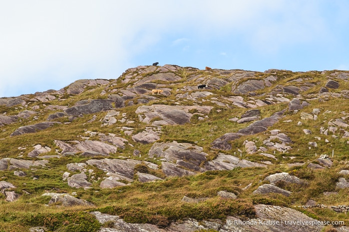 travelyesplease.com | Driving the Ring of Kerry- Points of Interest and Scenic Detours