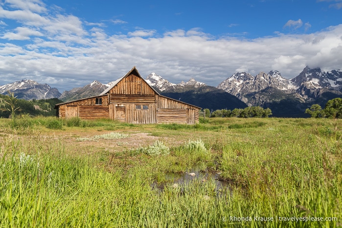 travelyesplease.com | Best Places to Visit in Yellowstone and Grand Teton National Parks in 5 Days