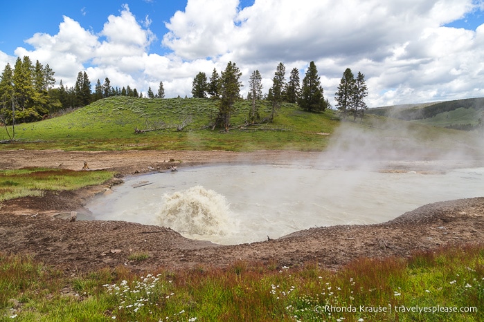 travelyesplease.com | 5 Days in Yellowstone and Grand Teton National Parks- A Tour with Grand American Adventures