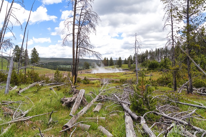 travelyesplease.com | 5 Days in Yellowstone and Grand Teton National Parks- A Tour with Grand American Adventures