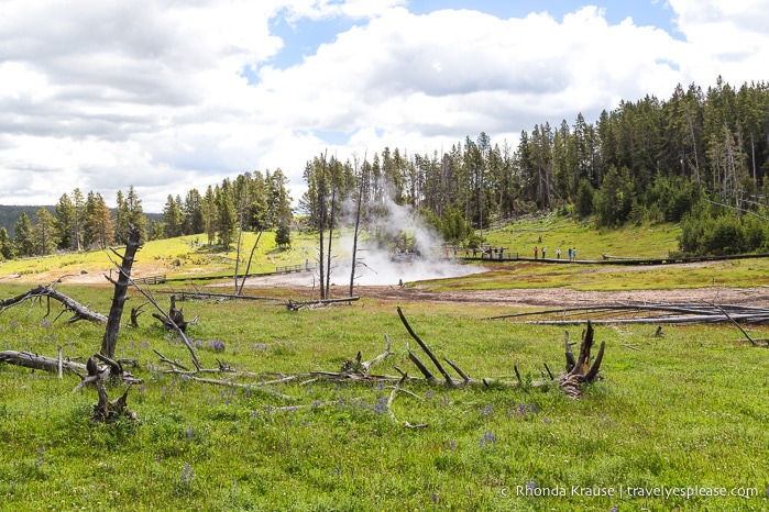 travelyesplease.com | The Best of Yellowstone and Grand Teton National Parks in 5 Days- An In-Depth Tour with Grand American Adventures