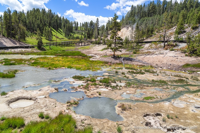 travelyesplease.com | Best Places to Visit in Yellowstone and Grand Teton National Parks in 5 Days- An In-Depth Tour with Grand American Adventures