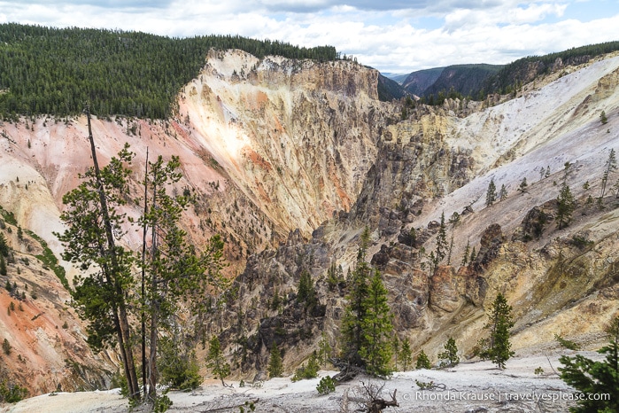 travelyesplease.com | 5 Day Tour of Yellowstone and Grand Teton National Parks