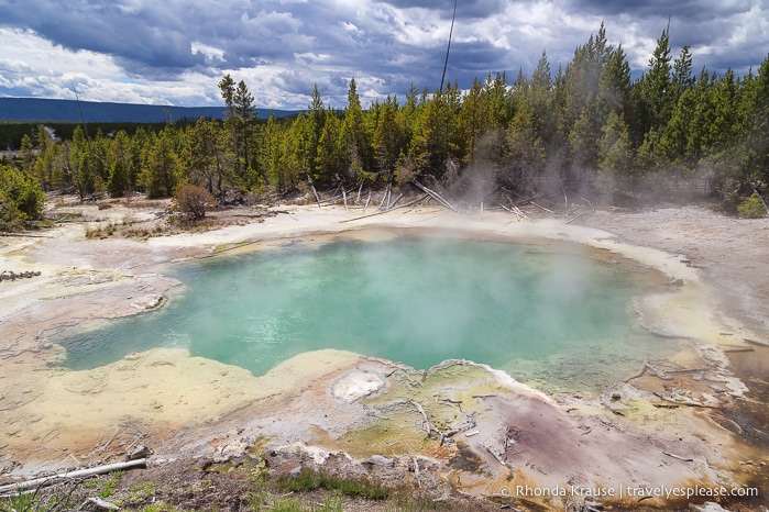 travelyesplease.com | Best Places to Visit in Yellowstone and Grand Teton National Parks in 5 Days- An In-Depth Tour with Grand American Adventures
