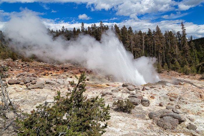 travelyesplease.com | The Best of Yellowstone and Grand Teton National Parks in 5 Days- An In-Depth Tour with Grand American Adventures