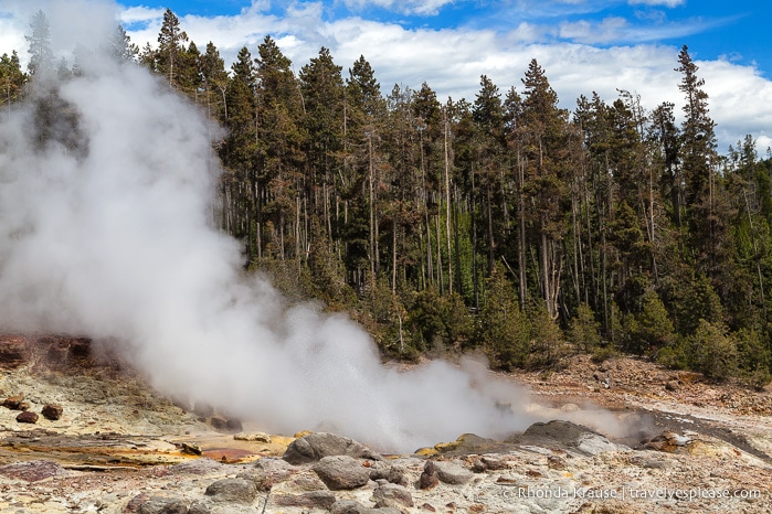 travelyesplease.com | 5 Day Tour of Yellowstone and Grand Teton National Parks