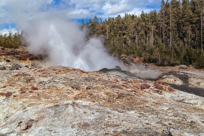 travelyesplease.com | The Best of Yellowstone and Grand Teton National Parks in 5 Days- An In-Depth Tour with Grand American Adventures