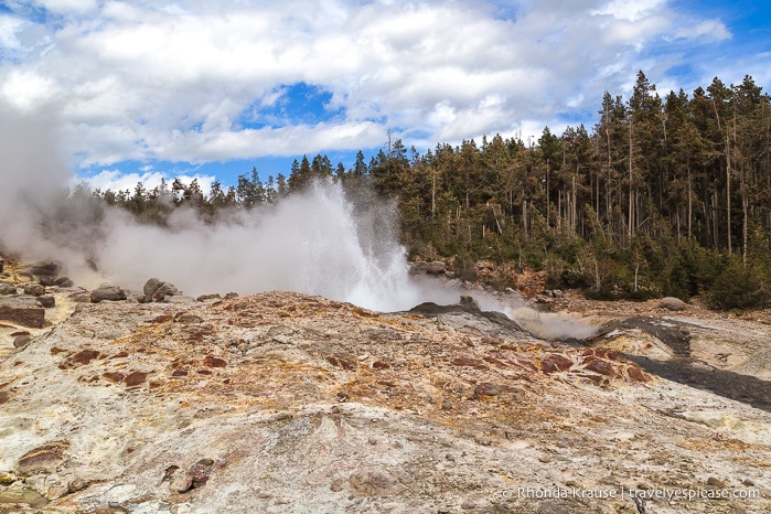 travelyesplease.com | The Best of Yellowstone and Grand Teton National Parks in 5 Days- An In-Depth Tour with Grand American Adventures