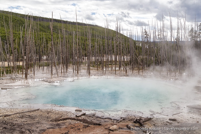 travelyesplease.com | The Best of Yellowstone and Grand Teton National Parks in 5 Days- An In-Depth Tour with Grand American Adventures