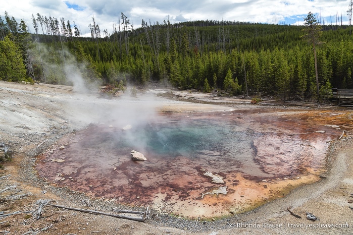 travelyesplease.com | Yellowstone and Grand Teton National Parks- Top Places to Visit in 5 Days