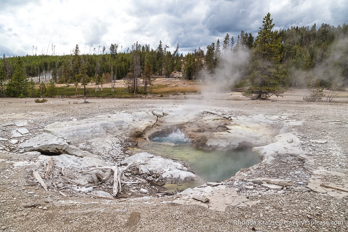 travelyesplease.com | 5 Days in Yellowstone and Grand Teton National Parks