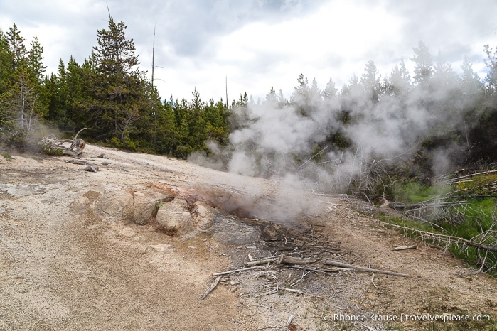 travelyesplease.com | 5 Days in Yellowstone and Grand Teton National Parks