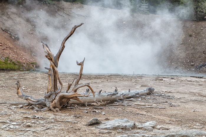 travelyesplease.com | 5 Days in Yellowstone and Grand Teton National Parks