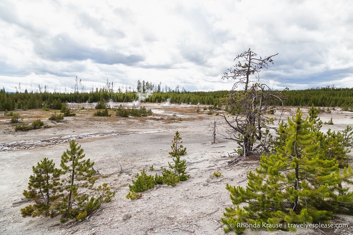 travelyesplease.com | 5 Days in Yellowstone and Grand Teton National Parks