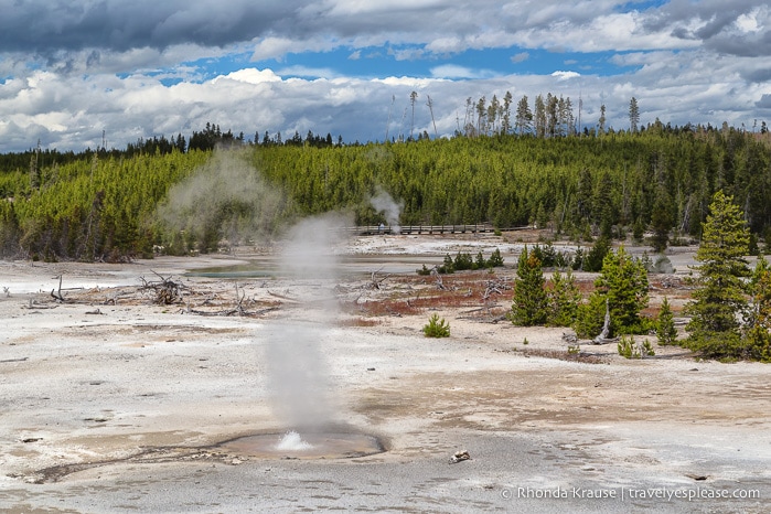 travelyesplease.com | The Best of Yellowstone and Grand Teton National Parks in 5 Days- An In-Depth Tour with Grand American Adventures