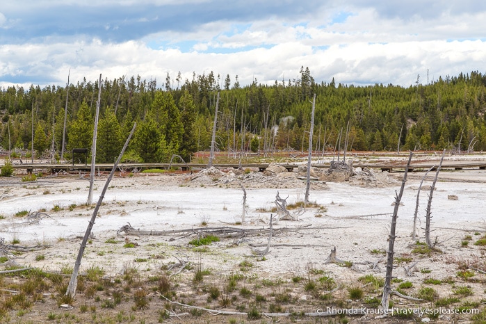 travelyesplease.com | 5 Days in Yellowstone and Grand Teton National Parks