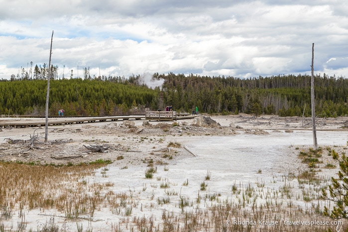 travelyesplease.com | 5 Days in Yellowstone and Grand Teton National Parks