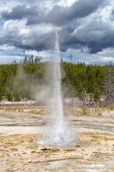 travelyesplease.com | The Best of Yellowstone and Grand Teton National Parks in 5 Days- An In-Depth Tour with Grand American Adventures