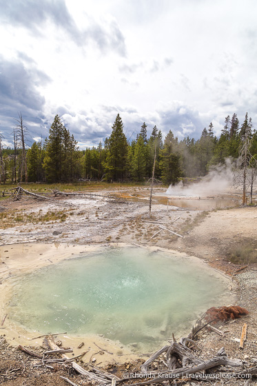 travelyesplease.com | 5 Days in Yellowstone and Grand Teton National Parks