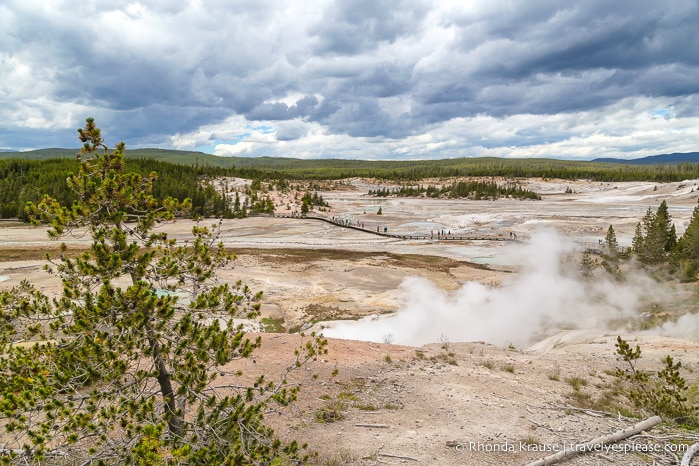 travelyesplease.com | The Best of Yellowstone and Grand Teton National Parks in 5 Days- An In-Depth Tour with Grand American Adventures