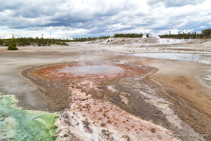 travelyesplease.com | The Best of Yellowstone and Grand Teton National Parks in 5 Days- An In-Depth Tour with Grand American Adventures