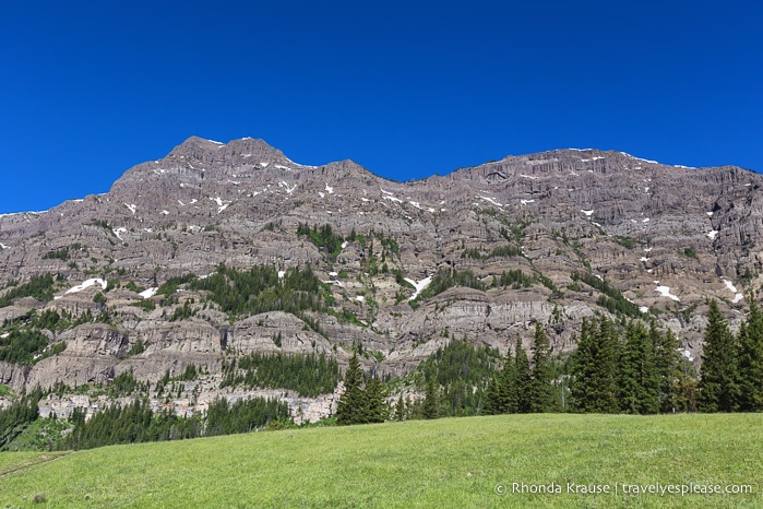 travelyesplease.com | 5 Days in Yellowstone and Grand Teton National Parks