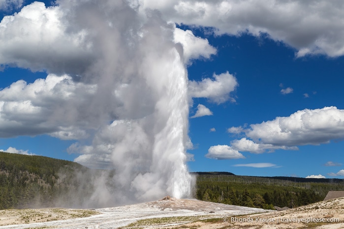 travelyesplease.com | Yellowstone and Grand Teton National Parks- Top Places to Visit in 5 Days
