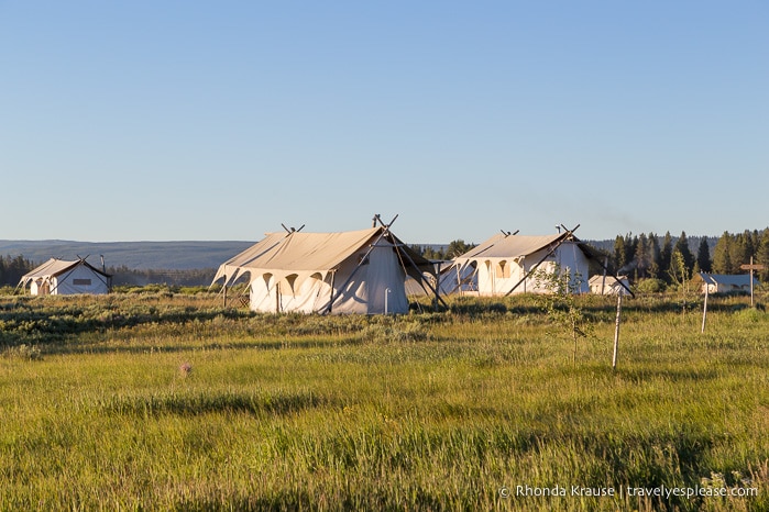 travelyesplease.com | 5 Day Tour of Yellowstone and Grand Teton National Parks