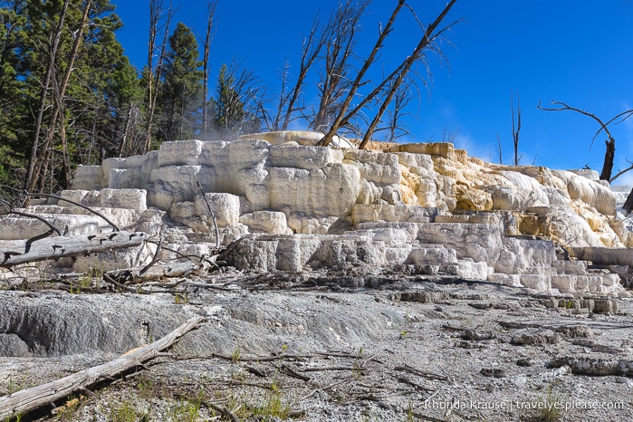 travelyesplease.com | Yellowstone and Grand Teton National Parks- Top Places to Visit in 5 Days