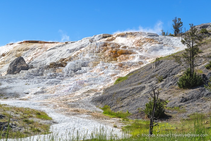 travelyesplease.com | 5 Days in Yellowstone and Grand Teton National Parks