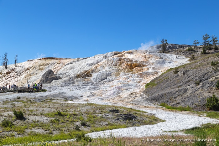 travelyesplease.com | 5 Days in Yellowstone and Grand Teton National Parks