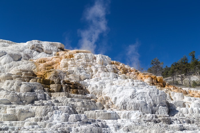 travelyesplease.com | Yellowstone and Grand Teton National Parks- Top Places to Visit in 5 Days