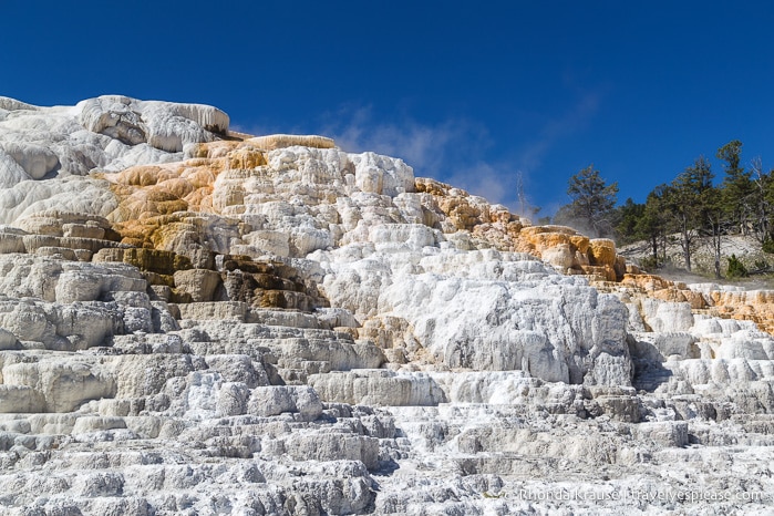 travelyesplease.com | 5 Days in Yellowstone and Grand Teton National Parks- Best Places to Visit