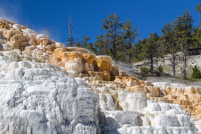 travelyesplease.com | 5 Days in Yellowstone and Grand Teton National Parks