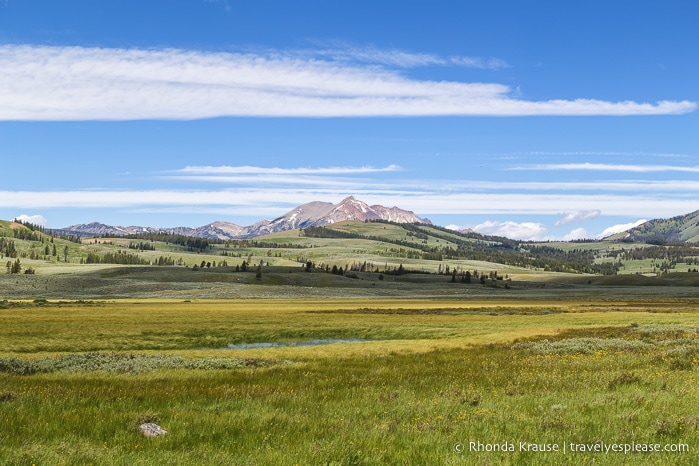 travelyesplease.com | 5 Day Tour of Yellowstone and Grand Teton National Parks