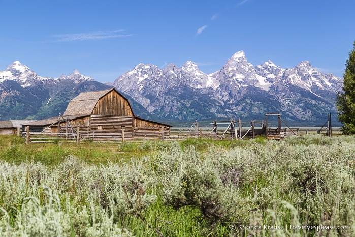 travelyesplease.com | 5 Day Tour of Yellowstone and Grand Teton National Parks