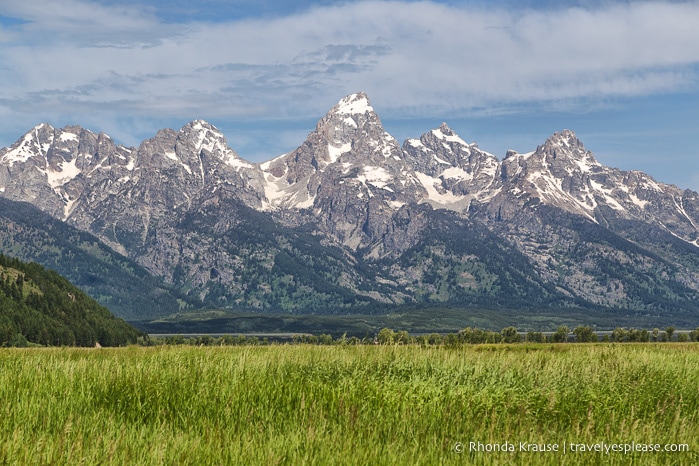 travelyesplease.com | The Best of Yellowstone and Grand Teton National Parks in 5 Days- An In-Depth Tour with Grand American Adventures