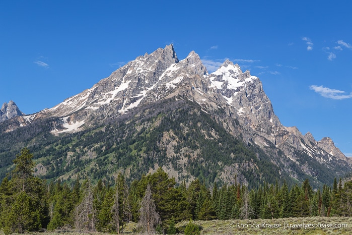 travelyesplease.com | 5 Day Tour of Yellowstone and Grand Teton National Parks