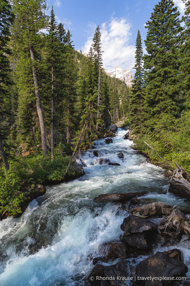 travelyesplease.com | 5 Day Tour of Yellowstone and Grand Teton National Parks