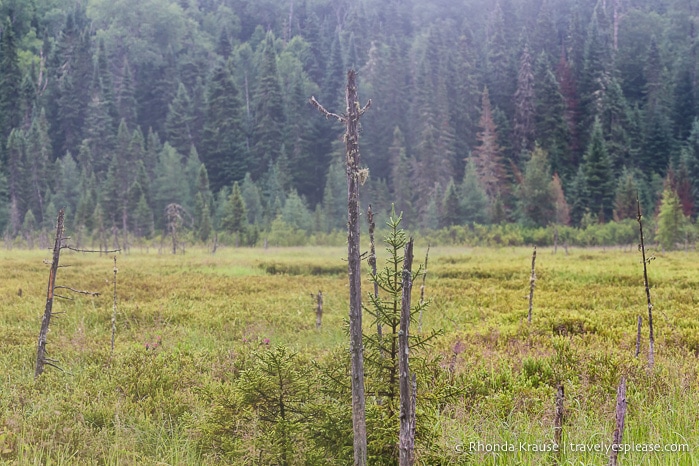 travelyesplease.com | Nature and Heritage at La Seigneurie du Triton- A Historic Wilderness Lodge in Quebec