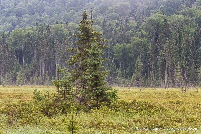 travelyesplease.com | Nature and Heritage at La Seigneurie du Triton- A Historic Wilderness Lodge in Quebec