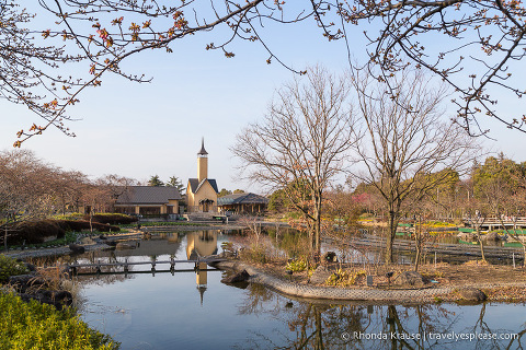 travelyesplease.com | Visiting the Nabana no Sato Flower Garden and Winter Illumination 